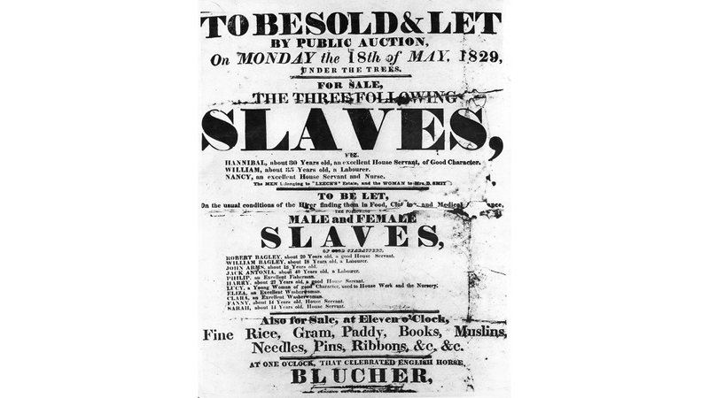 Illustration for article titled Here's How New Texas Public School Textbooks Write About Slavery